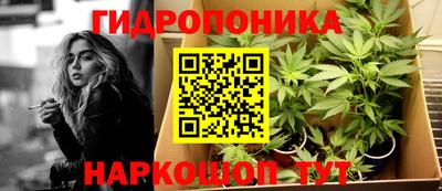 MDMA Новозыбков