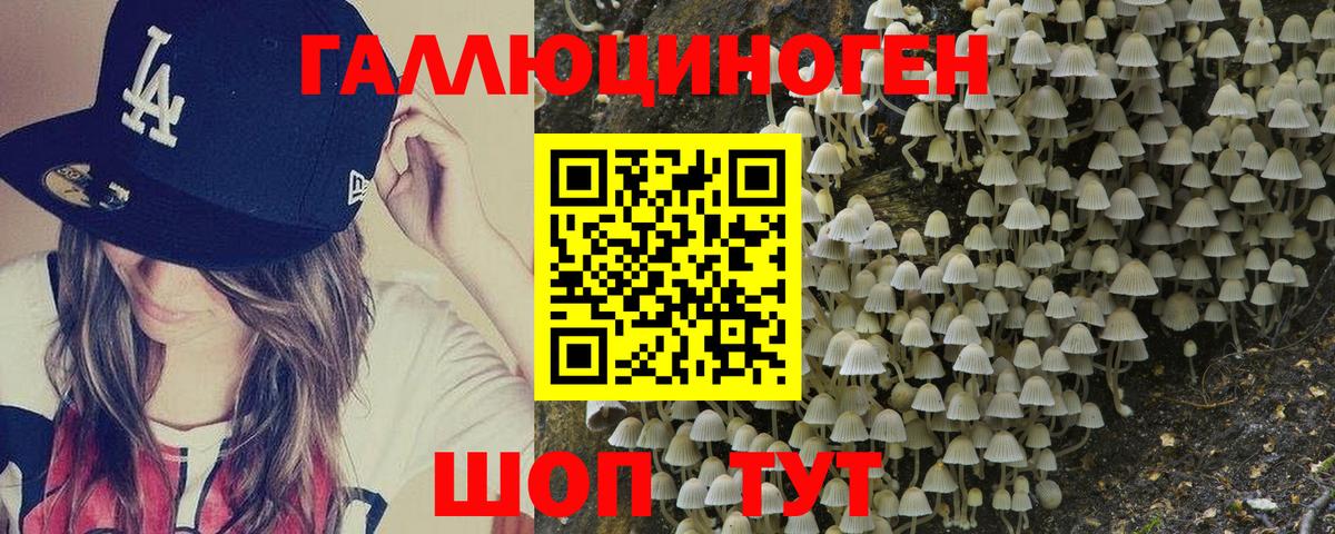 Псилоцибиновые грибы Magic Shrooms Ноябрьск