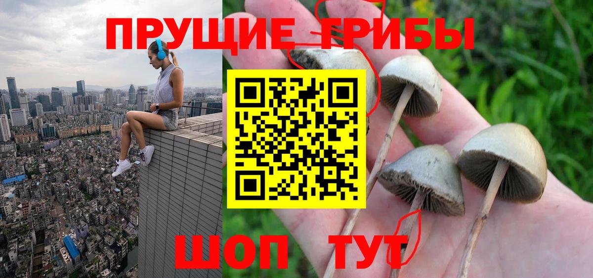 Ноябрьск  Галлюциногенные грибы мицелий  купить закладку  Вход с VPN 